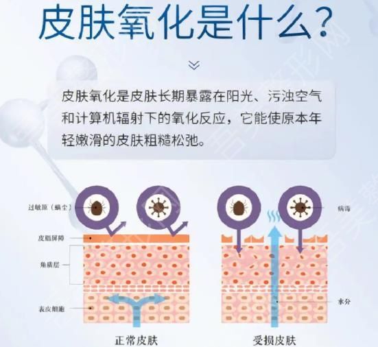 皮肤氧化 问题 衰老.jpg