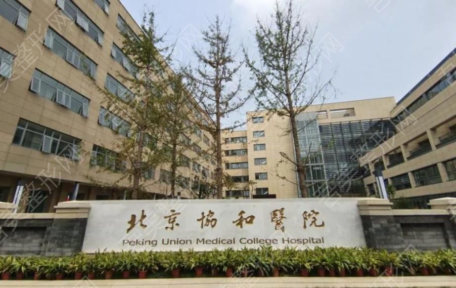 北京协和医院hg022.jpg