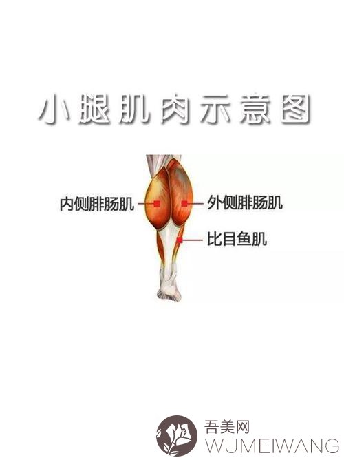 射频瘦小腿可靠吗