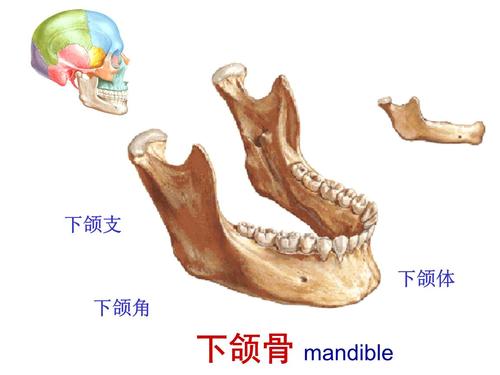 沈阳463整形医院下颌角磨骨​