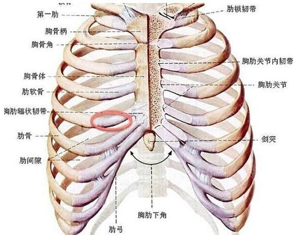 济南艺星整形医院半肋隆鼻案例图