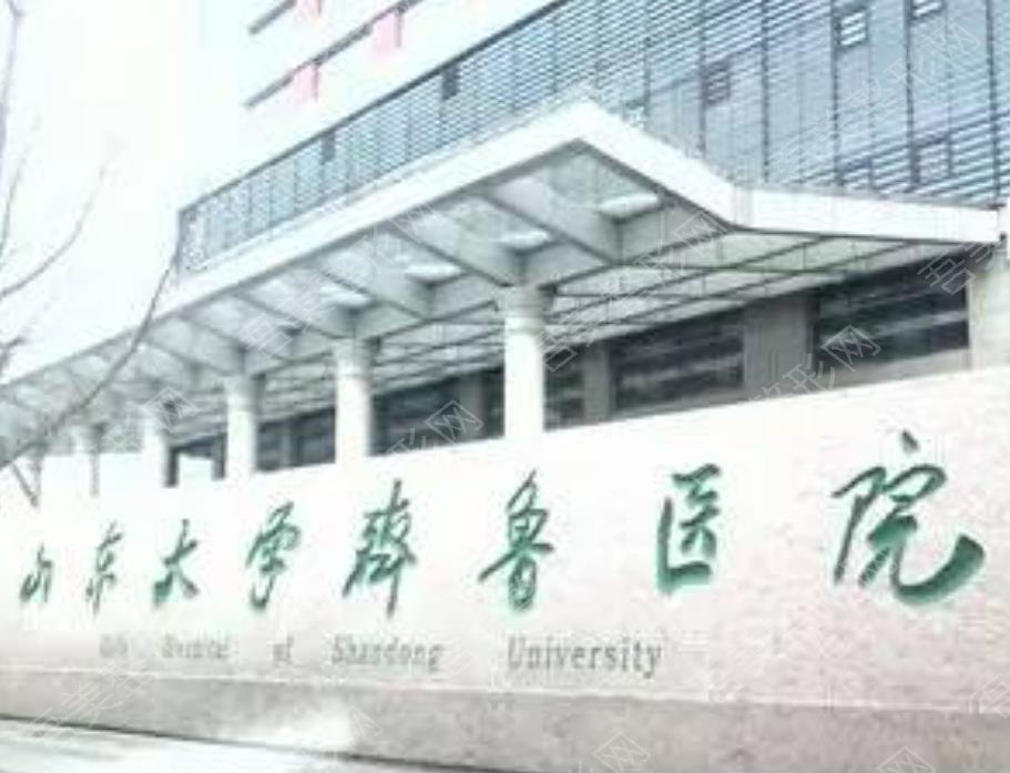 山东大学齐鲁医院